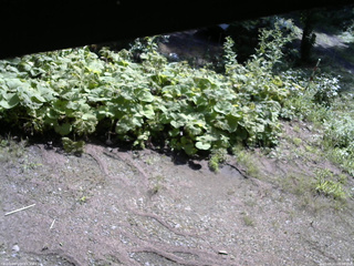 長野県菅平高原 ゆたか山荘 駐車場 2025/08/21 09:00