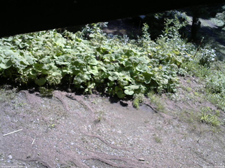 長野県菅平高原 ゆたか山荘 駐車場 2025/08/21 09:15