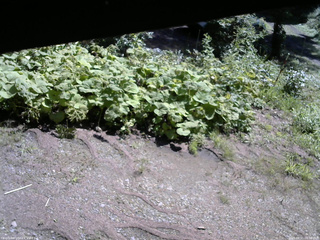 長野県菅平高原 ゆたか山荘 駐車場 2025/08/21 09:30