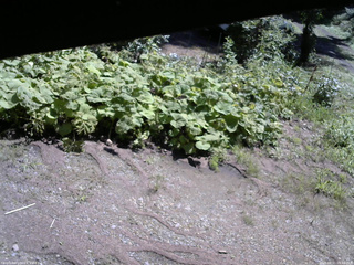 長野県菅平高原 ゆたか山荘 駐車場 2025/08/21 09:45