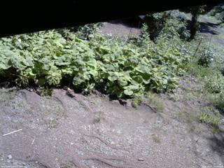長野県菅平高原 ゆたか山荘 駐車場 2025/08/21 10:00