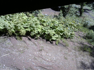 長野県菅平高原 ゆたか山荘 駐車場 2025/08/21 10:15