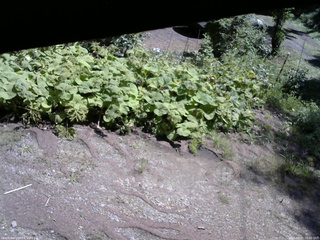 長野県菅平高原 ゆたか山荘 駐車場 2025/08/21 10:30