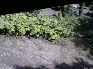 長野県菅平高原 ゆたか山荘 駐車場 2025/08/21 11:00