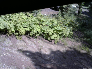 長野県菅平高原 ゆたか山荘 駐車場 2025/08/21 11:15