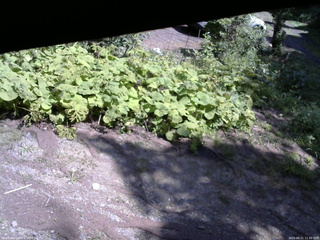 長野県菅平高原 ゆたか山荘 駐車場 2025/08/21 11:30