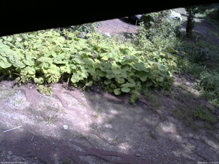 長野県菅平高原 ゆたか山荘 駐車場 2025/08/21 11:45