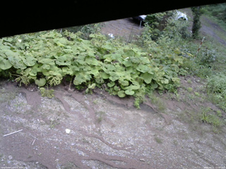 長野県菅平高原 ゆたか山荘 駐車場 2025/08/21 12:00