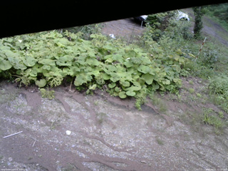 長野県菅平高原 ゆたか山荘 駐車場 2025/08/21 12:15