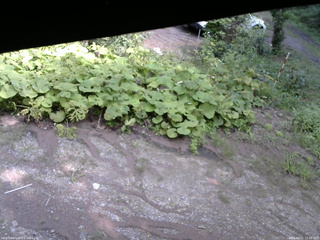 長野県菅平高原 ゆたか山荘 駐車場 2025/08/21 12:30