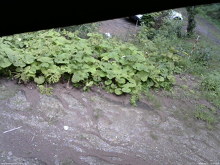 長野県菅平高原 ゆたか山荘 駐車場 2025/08/21 12:45