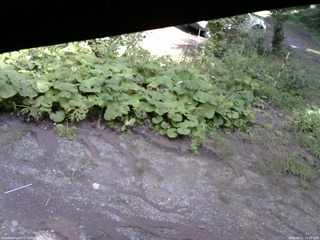 長野県菅平高原 ゆたか山荘 駐車場 2025/08/21 13:00