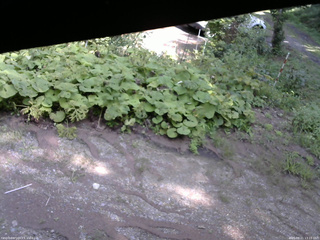 長野県菅平高原 ゆたか山荘 駐車場 2025/08/21 13:15