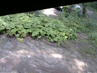 長野県菅平高原 ゆたか山荘 駐車場 2025/08/21 13:45