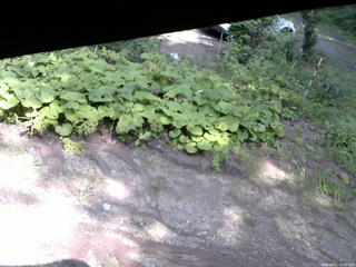 長野県菅平高原 ゆたか山荘 駐車場 2025/08/21 14:00