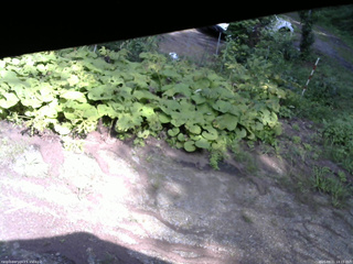 長野県菅平高原 ゆたか山荘 駐車場 2025/08/21 14:15