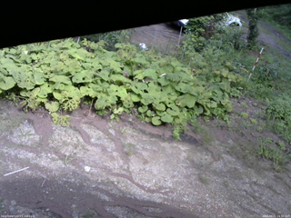 長野県菅平高原 ゆたか山荘 駐車場 2025/08/21 14:30