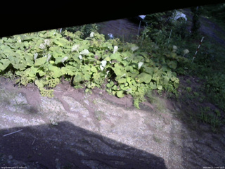 長野県菅平高原 ゆたか山荘 駐車場 2025/08/21 14:45