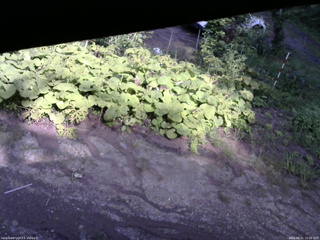 長野県菅平高原 ゆたか山荘 駐車場 2025/08/21 15:00