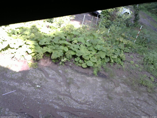 長野県菅平高原 ゆたか山荘 駐車場 2025/08/21 15:15