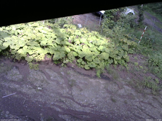 長野県菅平高原 ゆたか山荘 駐車場 2025/08/21 15:30