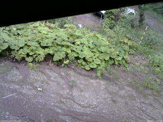 長野県菅平高原 ゆたか山荘 駐車場 2025/08/21 16:00