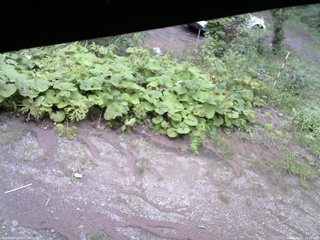 長野県菅平高原 ゆたか山荘 駐車場 2025/08/21 16:15