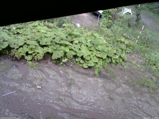長野県菅平高原 ゆたか山荘 駐車場 2025/08/21 16:45