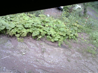 長野県菅平高原 ゆたか山荘 駐車場 2025/08/21 17:00