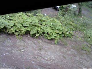 長野県菅平高原 ゆたか山荘 駐車場 2025/08/21 17:15