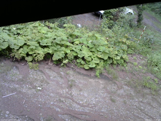 長野県菅平高原 ゆたか山荘 駐車場 2025/08/21 17:30