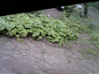 長野県菅平高原 ゆたか山荘 駐車場 2025/08/21 18:00