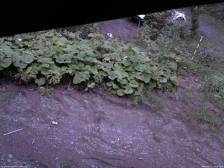 長野県菅平高原 ゆたか山荘 駐車場 2025/08/21 18:30