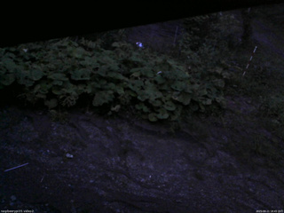 長野県菅平高原 ゆたか山荘 駐車場 2025/08/21 18:45