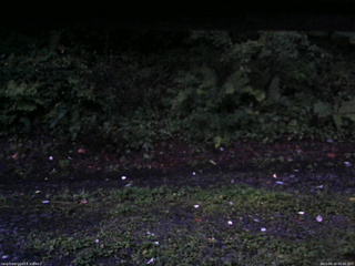 長野県菅平高原 ゆたか山荘 南側 2025/08/22 05:00