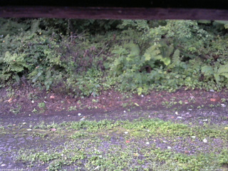 長野県菅平高原 ゆたか山荘 南側 2025/08/22 05:30