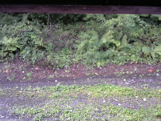 長野県菅平高原 ゆたか山荘 南側 2025/08/22 05:45