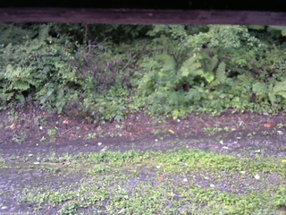 長野県菅平高原 ゆたか山荘 南側 2025/08/22 06:00