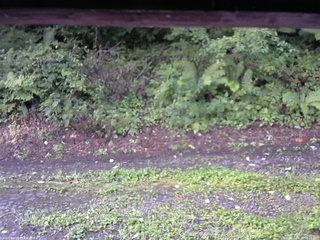 長野県菅平高原 ゆたか山荘 南側 2025/08/22 06:15