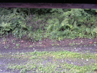 長野県菅平高原 ゆたか山荘 南側 2025/08/22 06:30