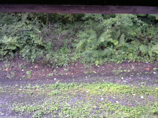 長野県菅平高原 ゆたか山荘 南側 2025/08/22 06:45