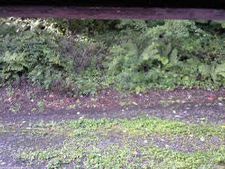 長野県菅平高原 ゆたか山荘 南側 2025/08/22 07:00