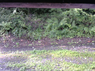 長野県菅平高原 ゆたか山荘 南側 2025/08/22 07:30