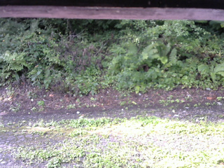 長野県菅平高原 ゆたか山荘 南側 2025/08/22 07:45