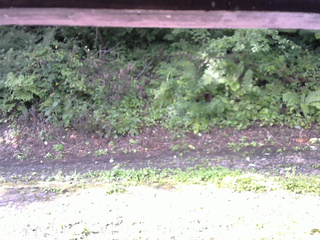 長野県菅平高原 ゆたか山荘 南側 2025/08/22 08:00