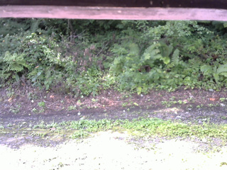 長野県菅平高原 ゆたか山荘 南側 2025/08/22 08:15