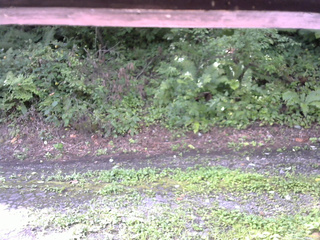 長野県菅平高原 ゆたか山荘 南側 2025/08/22 08:45