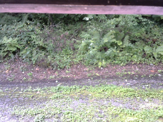 長野県菅平高原 ゆたか山荘 南側 2025/08/22 09:00