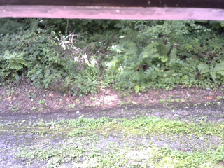 長野県菅平高原 ゆたか山荘 南側 2025/08/22 09:15