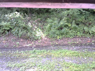 長野県菅平高原 ゆたか山荘 南側 2025/08/22 09:30